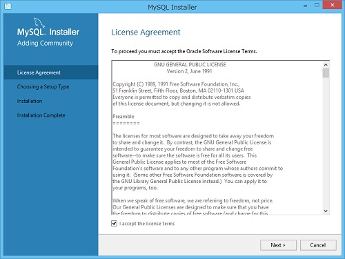 License Agreement 画面