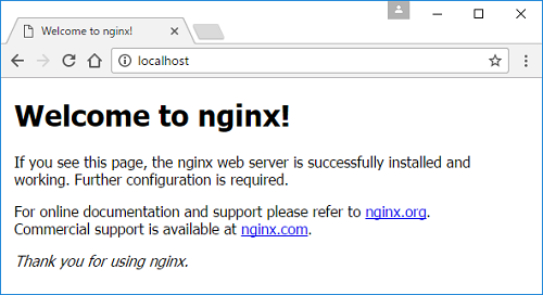 Nginx の初期ページ